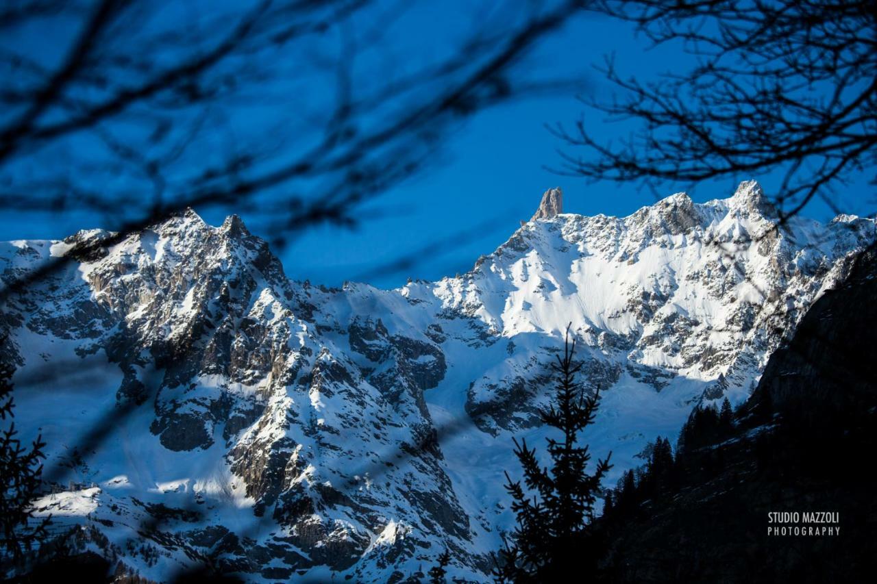 Aosta Quality Apartments Buitenkant foto